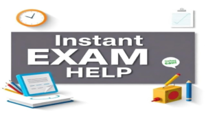 Need Instant Exam Help? Here’s How to Order Safely